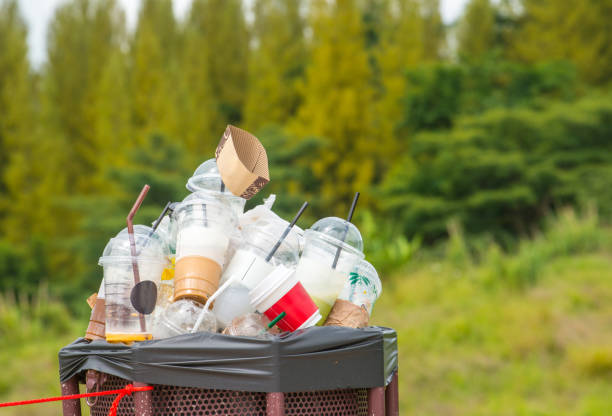 Trash Removal Near Me in St Paul Park, MN